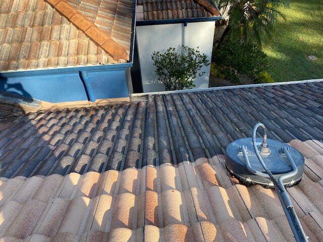 Roof Cleaning