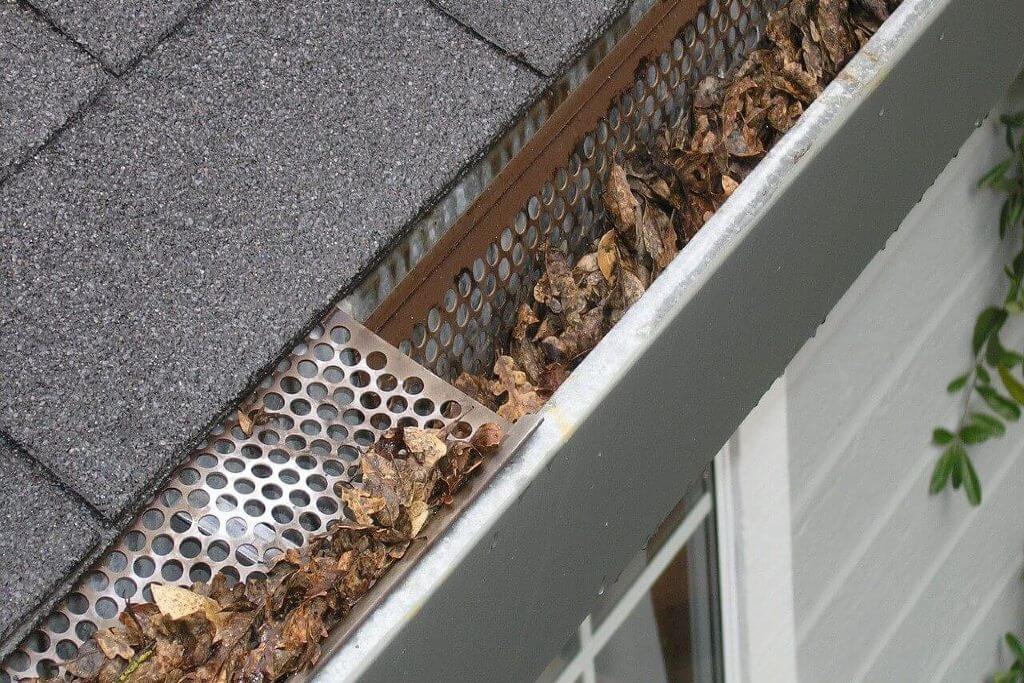 Gutter Cleaning Sunshine Coast Professional Service