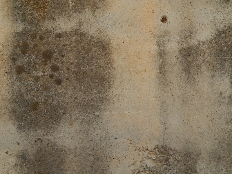 Mouldy Stone